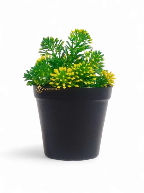 Planter with flower (1) Youngsera Planter For Table Decor | Best Table Centerpiece | Table Vase for Home Decor | Perfect for Wedding Centerpieces, Anniversary Gifts, and Birthday Presents – Combo Pack Of 3 - Pure Black - Image 5